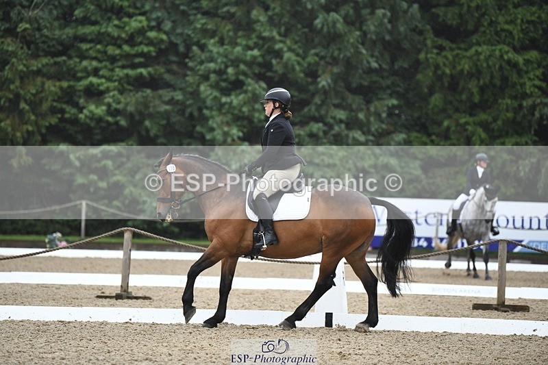 240720-110035-04148 - 196-Paula_Tippett-North_Country_Knight