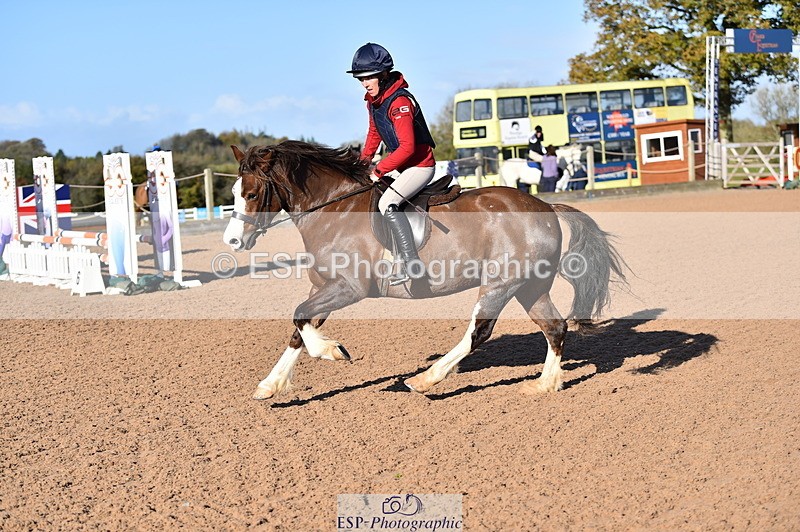 231105A-103322-00358 - 70cm