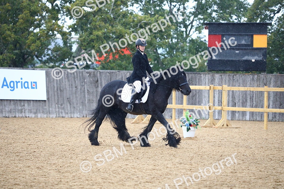 SBM_42828 - D21 - Junior Championship Intro 1