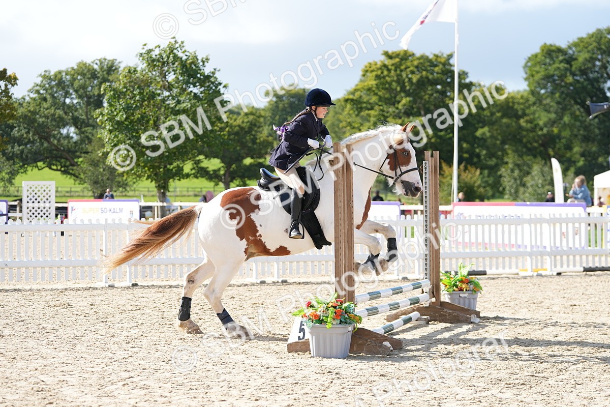 SBM_16831 - J58 - Clear Round 50cm