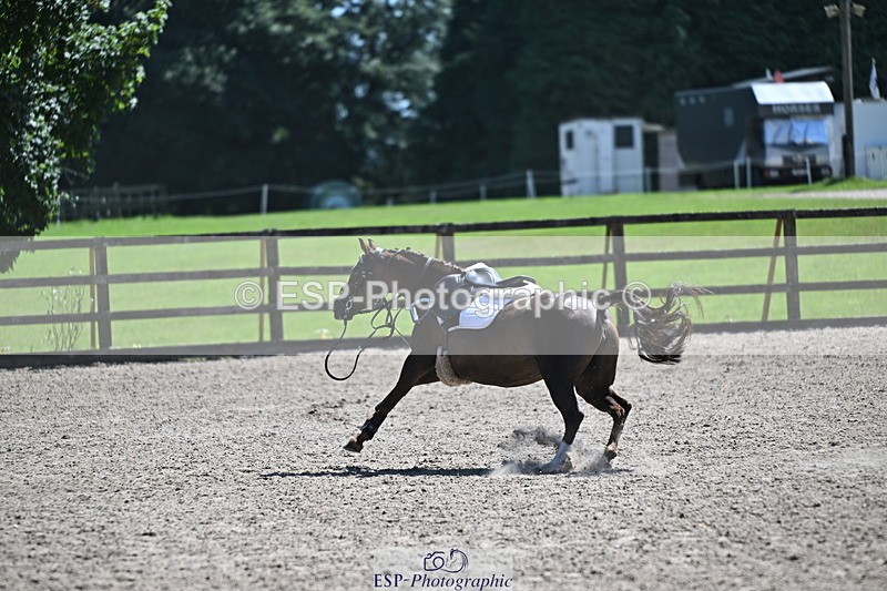 240729B-115059-02552 - Showjumping Competition