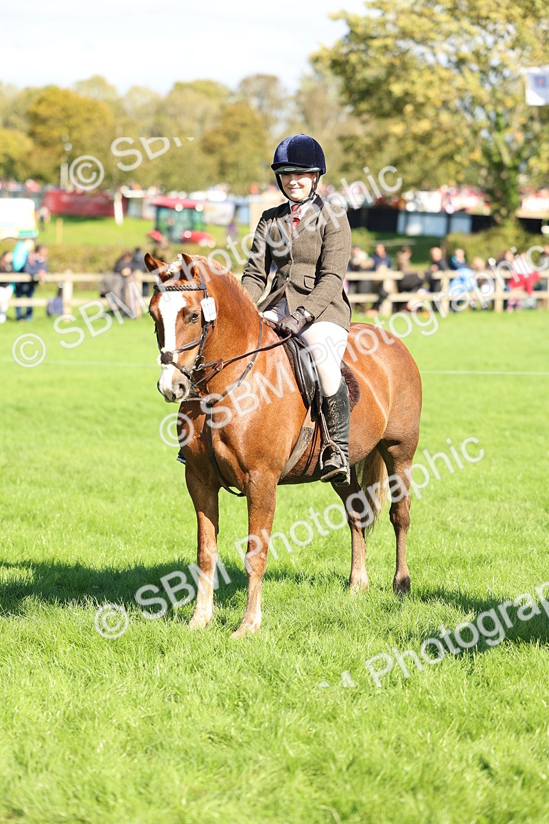 SBM_45433 - S33 - Working Hunter Pony