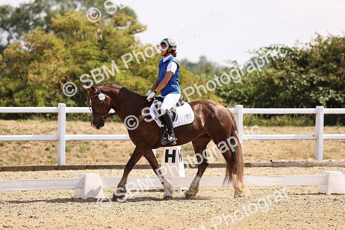 SBM_006536 - Intro 3 - 9.46-10.46