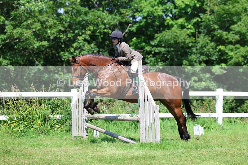 3E7A6951 - Class 30: Novice Working Hunter
