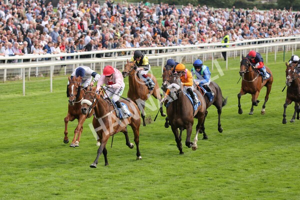 yr18082021r5-49 - Race 5 4.10pm Sky Bet Stakes