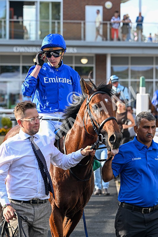 140826-Race 2-National Honour-1016 - Race 2 18.08pm JW 4x4 Northallerton Irish EBF Novice Stakes