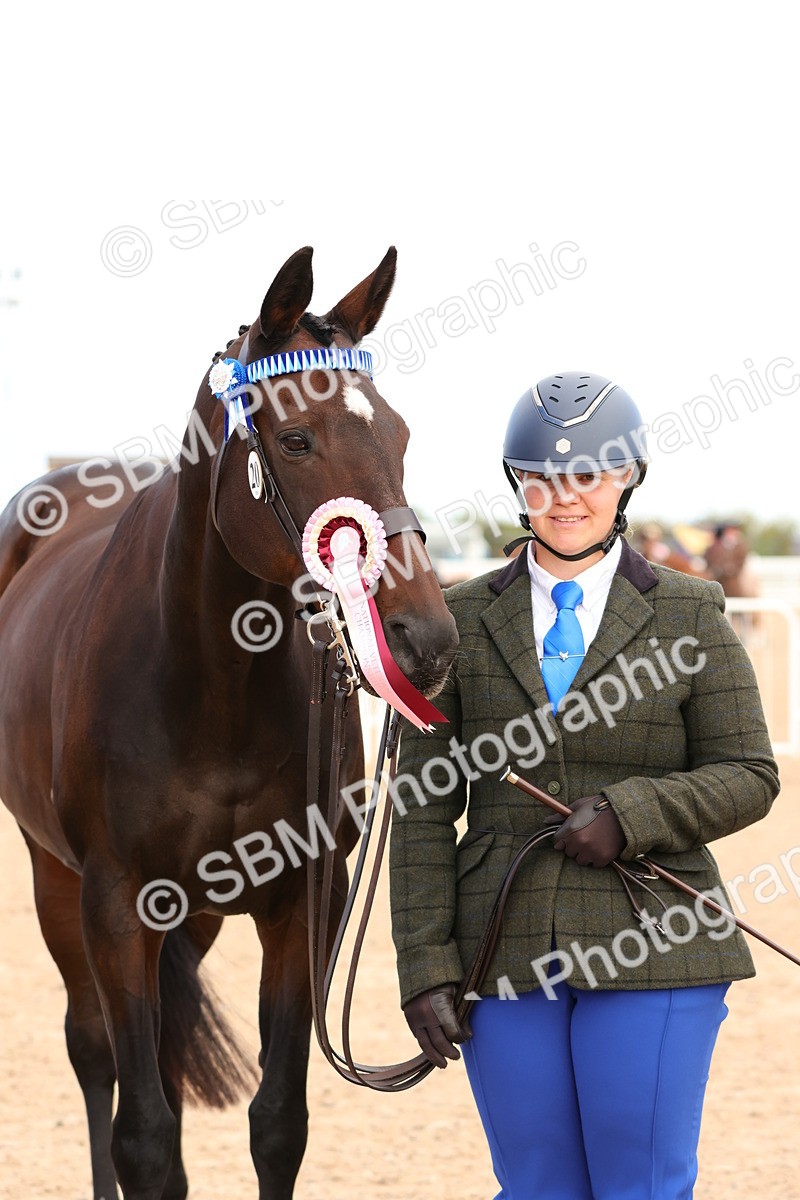 SBM_12374 - Class 210 - IH Show Horse