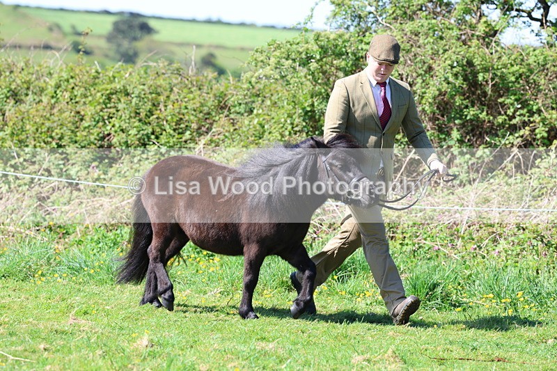 3E7A9398 - Class 16: Best Grass Kept