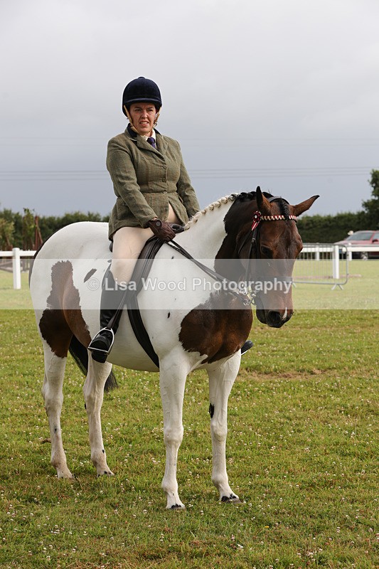 1X9A2944 - Class 25: Ridden Plaited Coloured Horse