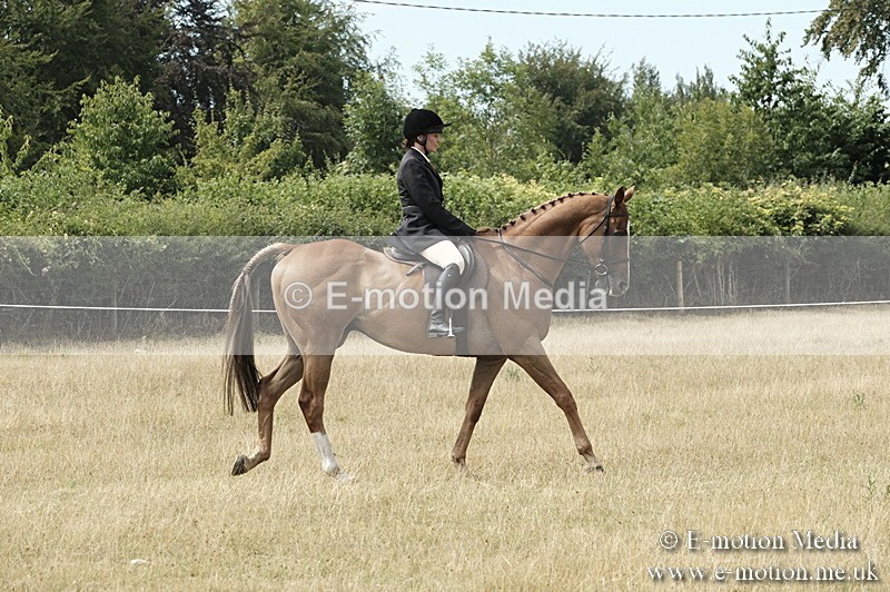 _PJP6082 - BVRC Show 2018 Ring 1