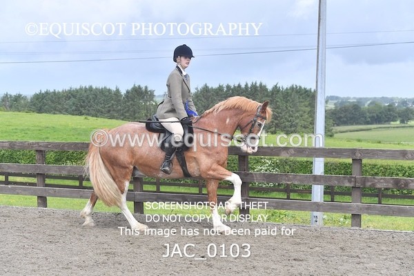 JAC_0103 - CHAMPIONSHIPS AND SUPREME