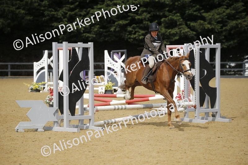 20250622-3663 - 50cm