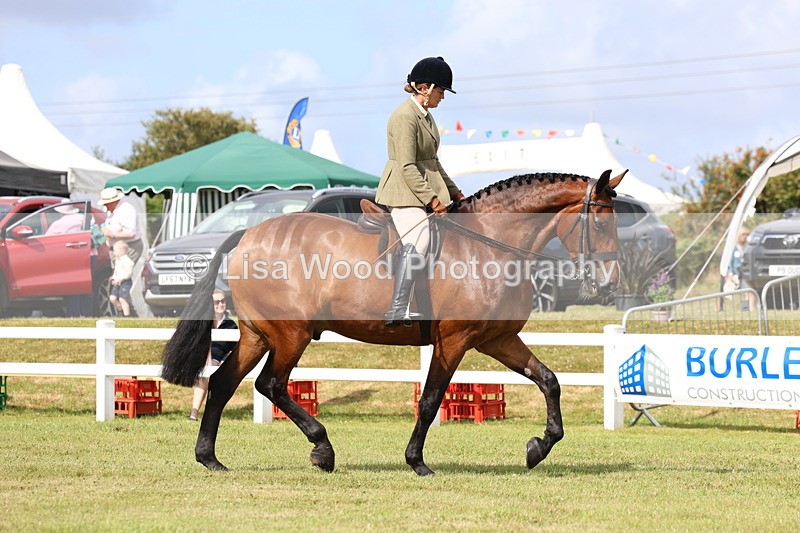 3E7A9270 - Class 4: Rising Star M/H Hunter