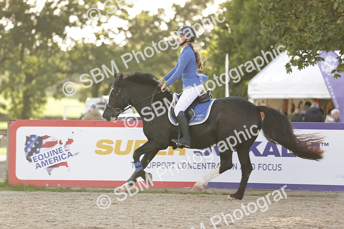 SBM_29990 - j52 - Open 80cm