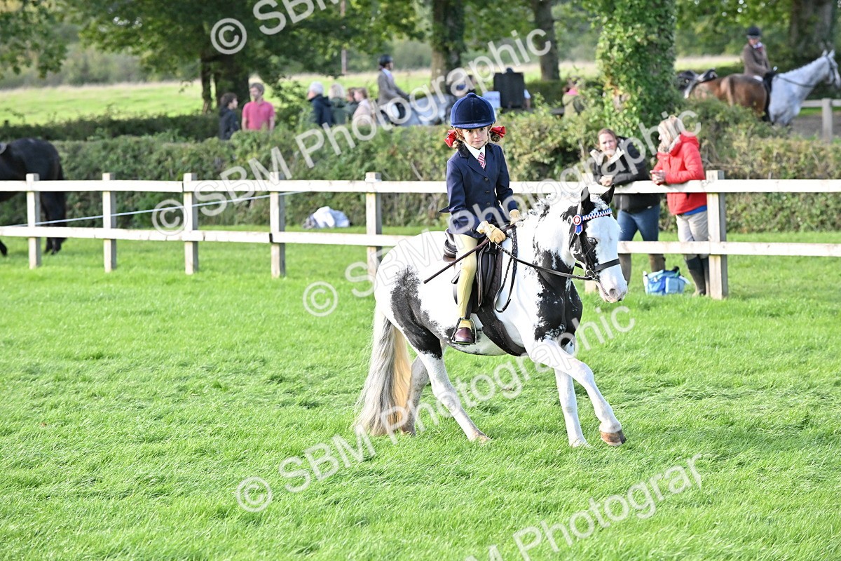 SBM_51232 - S22 - First Ridden show and show Hunter Pony