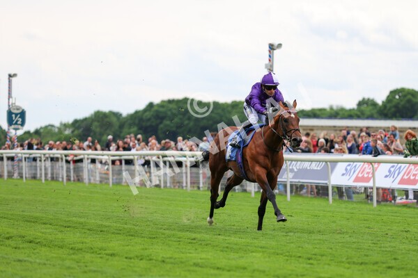 yr22052022r2-13 - Race 2: 4:00pm Sky Bet Sunday Series EBF Novice Stakes