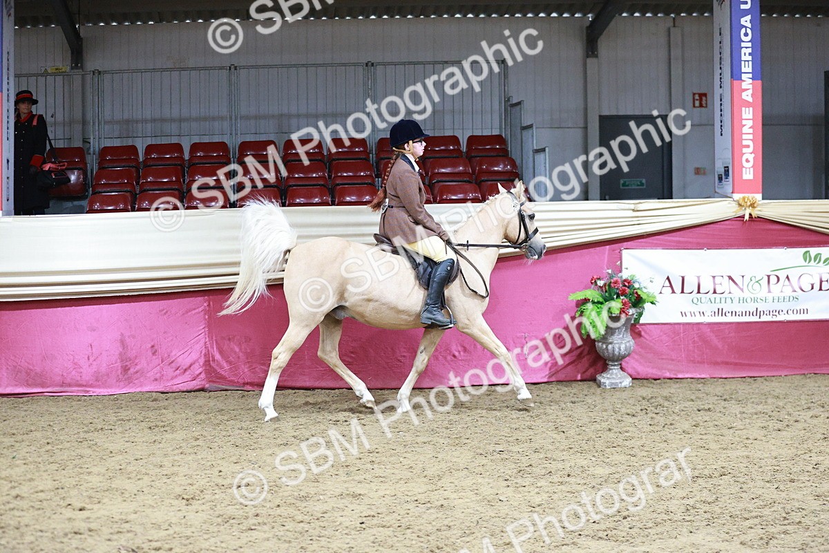 SBM_07317 - Class 10R - Regional Ridden Diamond
