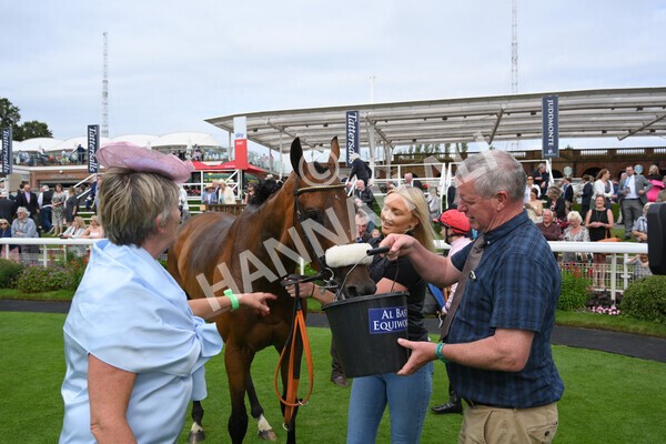 yr18082021r5-80 - Race 5 4.10pm Sky Bet Stakes