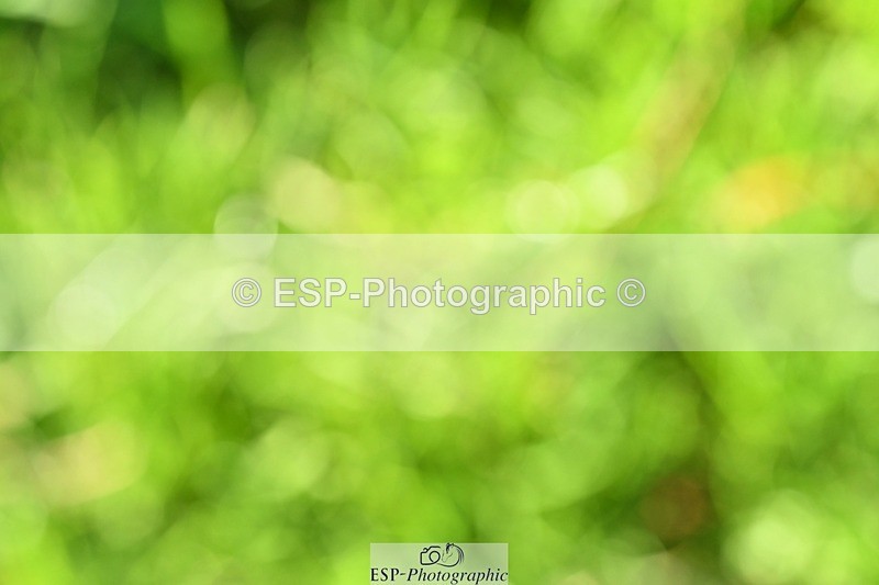 231110-121202-01383 - Cls 5 Elementary 43