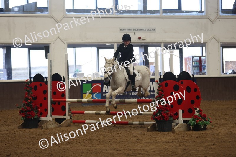 20260314-3262 - 80cm