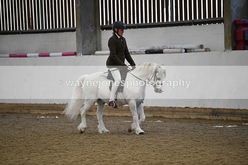 WJ5_5953 - Class 9 Ridden Veteran