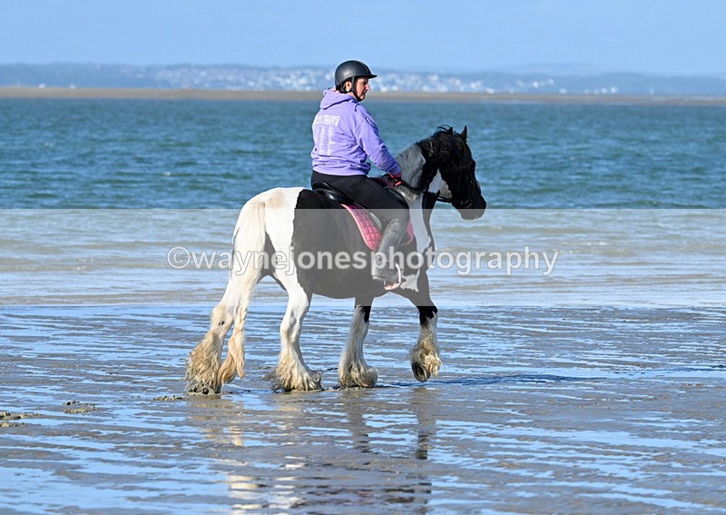 WJ7_2728 - Kellie & Churchill ... do Hayling Island 25-08-24