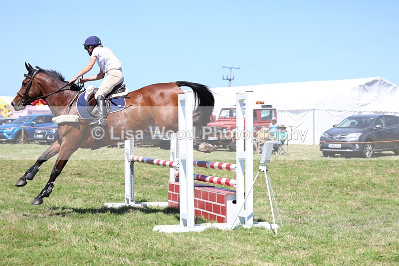 3E7A5496 - Class 9: Senior British Novice/90cm open