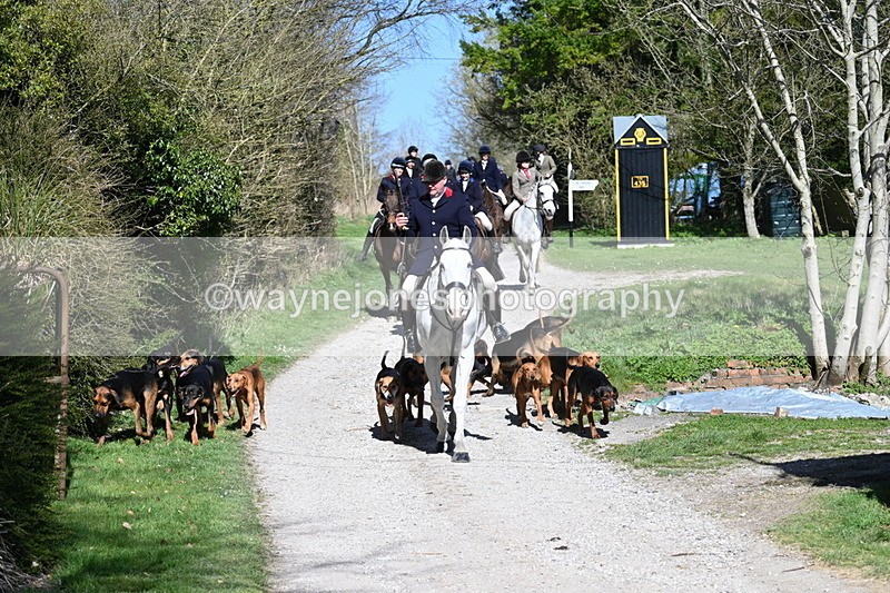 WJ7_9662 - Home for hunt tea !