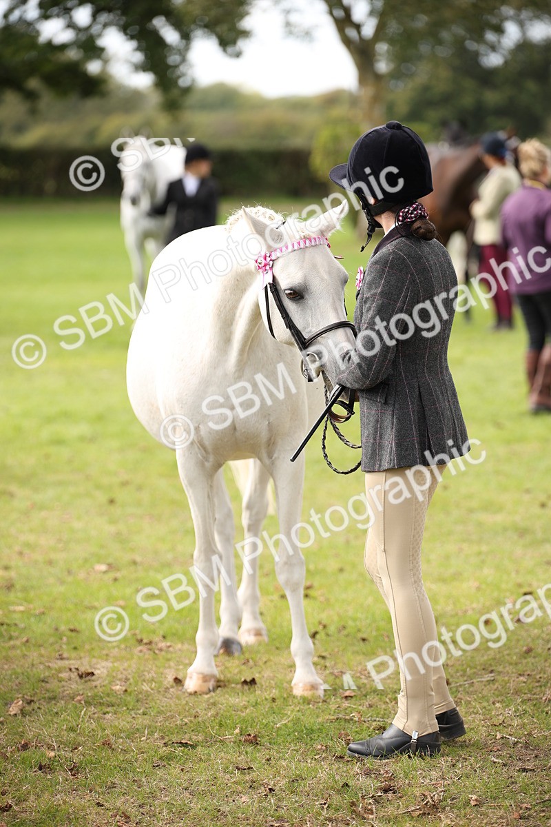 SBM_44510 - S24 - Young Veteran in hand