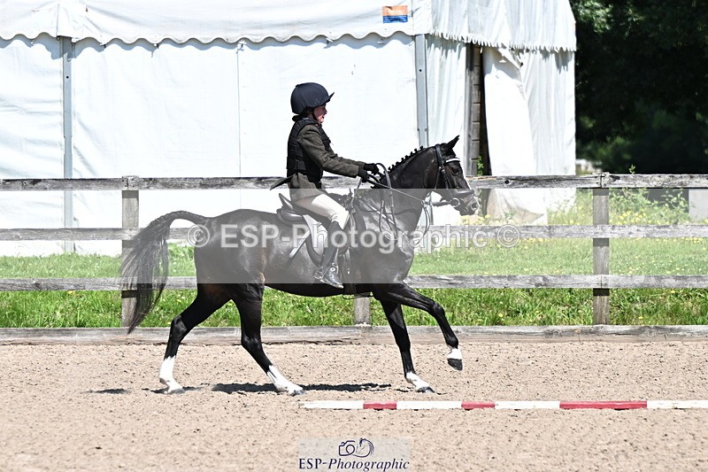 240729B-121303-02610 - Showjumping Competition