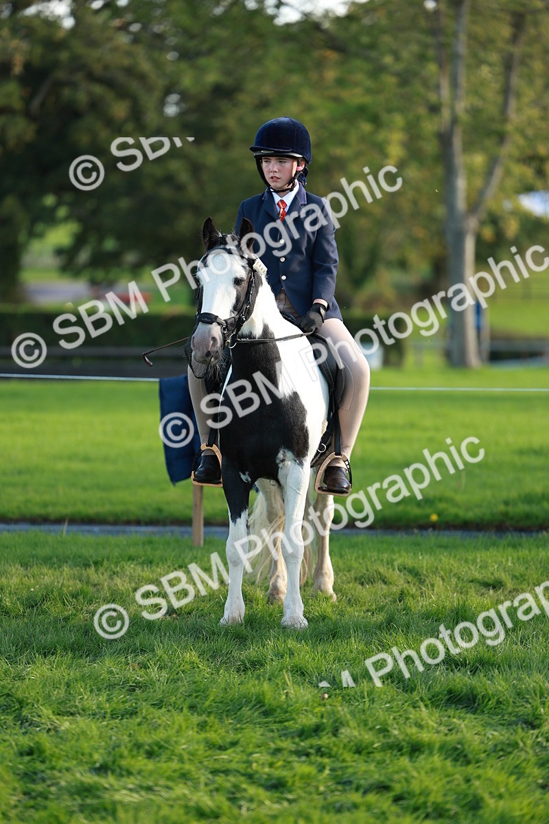 SBM_28781 - S7 - Novice & Newcomer Ridden Pony