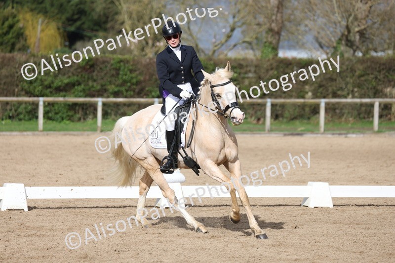 20260301-0646 - Class 4 - Novice 5