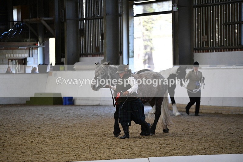 WJ5_3738 - Class 5 In Hand Veterans