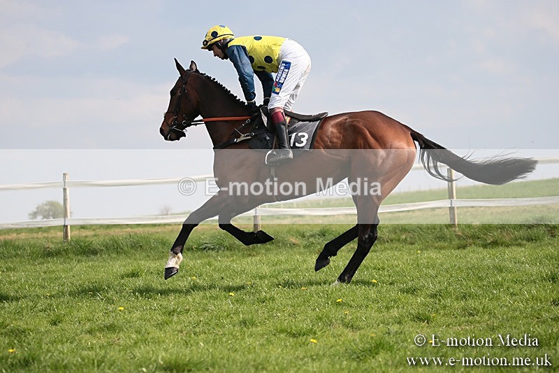 PtP 210418 410 - South & West Wilts Point-to-Point Larkhill 21/04/18
