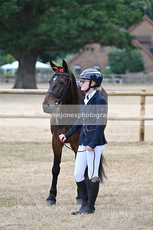 WJ7_9738 - Class 5a Most Handsome Gelding (above 14.2hh)