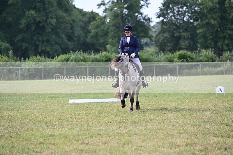 WJ6_5382 - Time 09:00 to 09:42