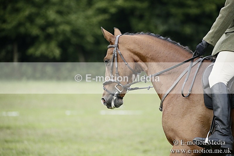 BVR090918 93 - BVRC Dressage and Show Jumping 09/09/18