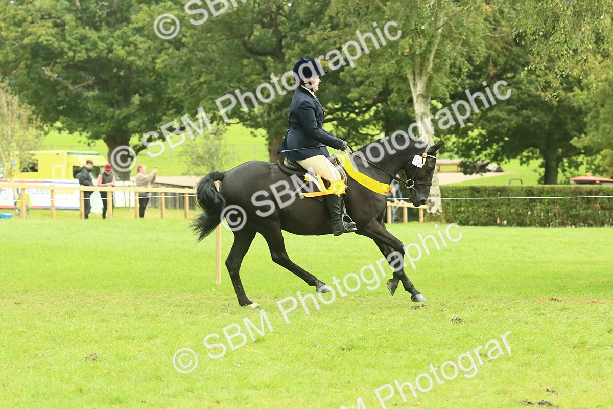 SBM_75011 - Ridden Pony Supreme Championship