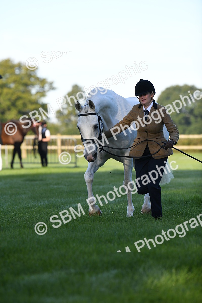 SBM_32755 - S15 - Condition & Turnout In Hand