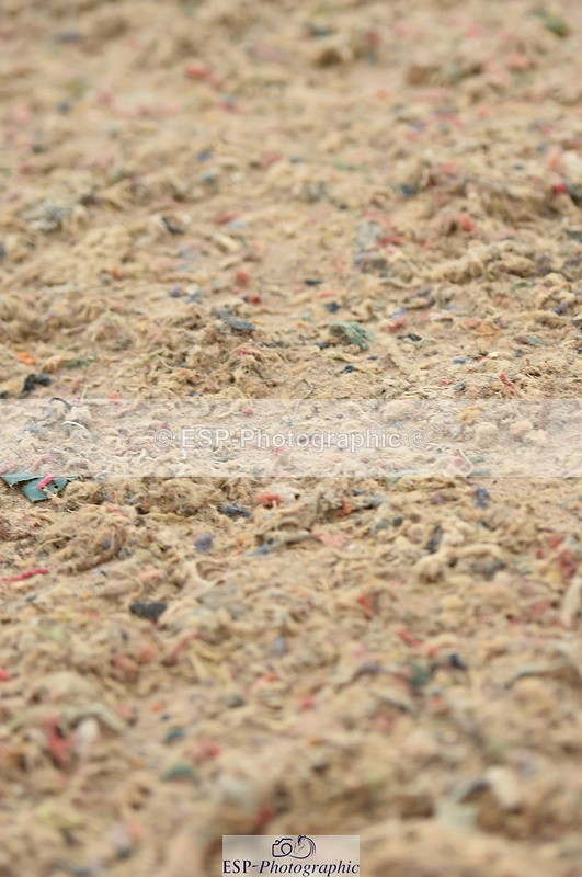 230916A-110030-03591 - Cls 21 British Novice & 90cm Open