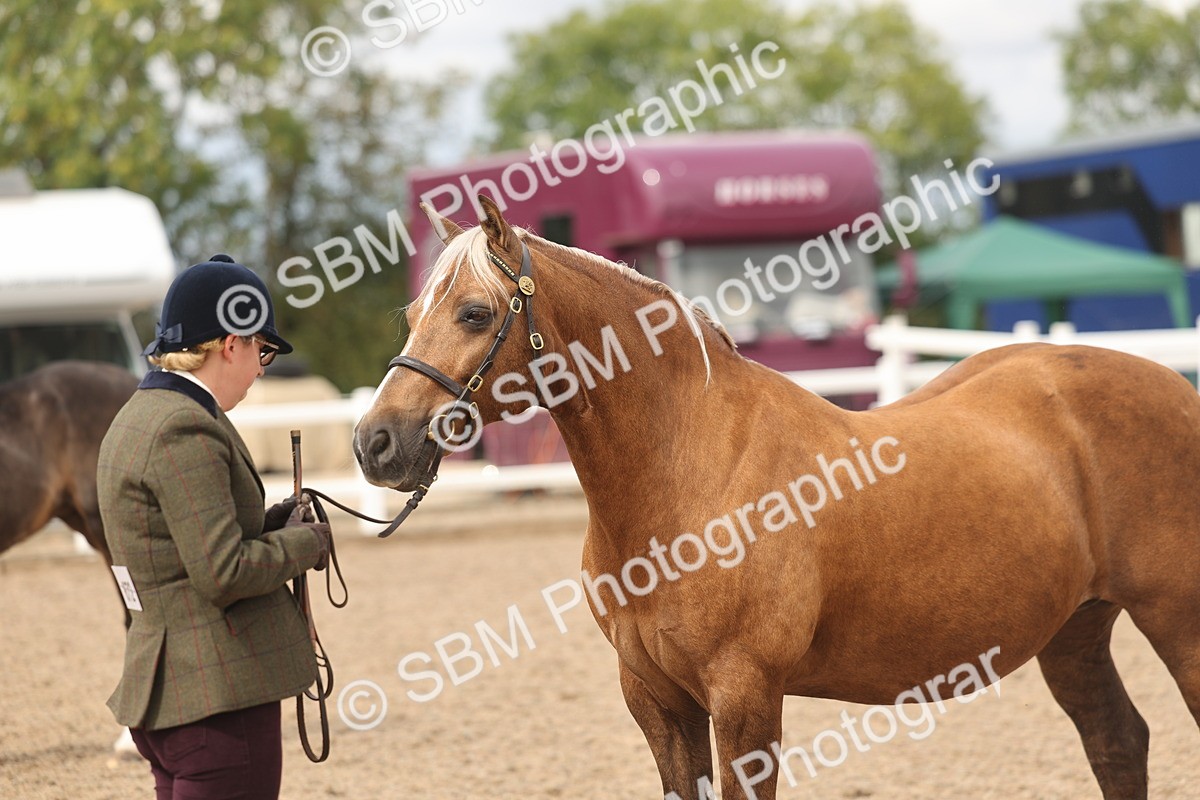 SBM_05029 - Class 20 - IH Veteran