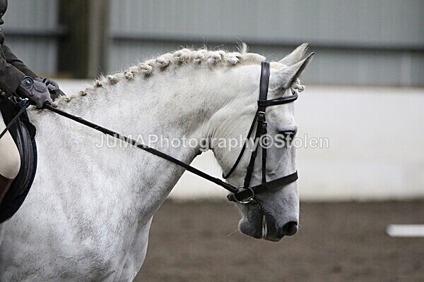 SIAL4246 - CAbin Dressage 5th july 2025