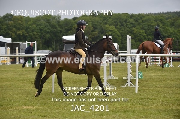 JAC_4201 - WORKING HUNTER CHAMPIONSHIP