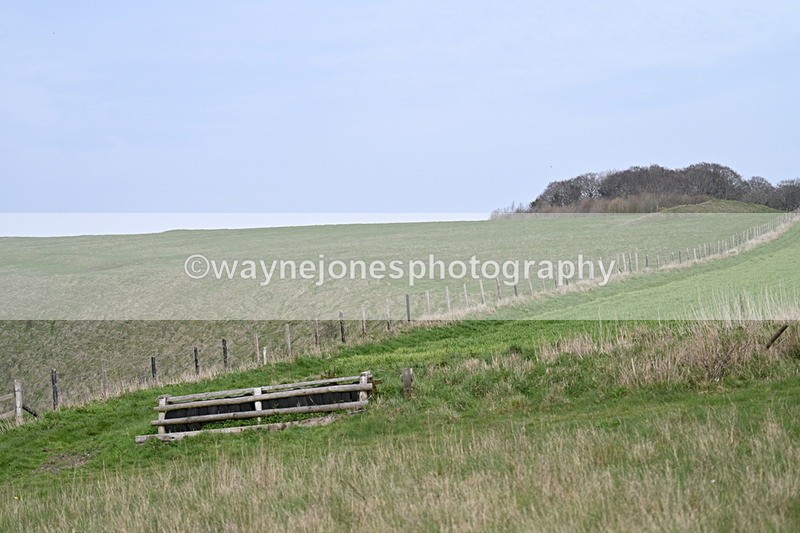 WJ7_8025 - Line 2 A camera