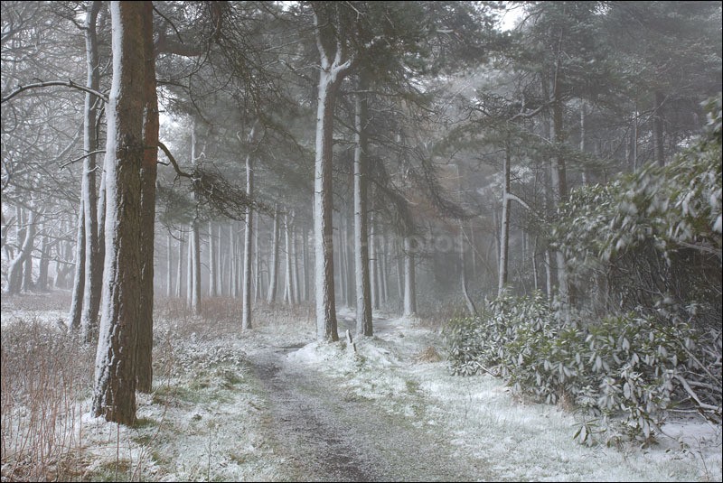 Winter Wonderland in Blacka Moor - Peak District Winter