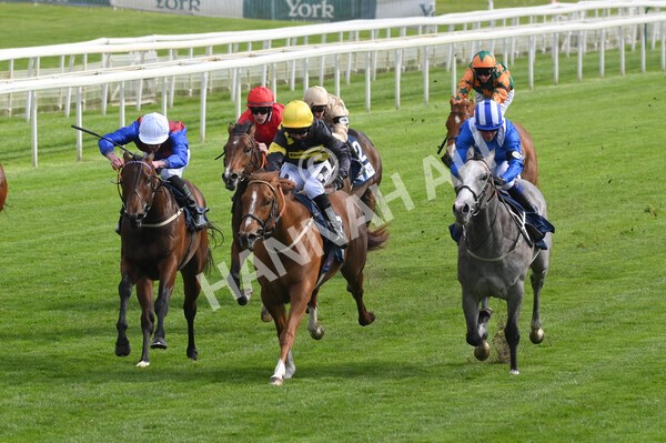 yr12052021r6-6 - Race 6 4.15pm British Stallion Studs EBF Novice Stakes