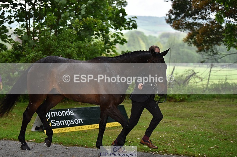 240522-151322-00178 - 316-LB_METTAPHOR-Tom_Rowland