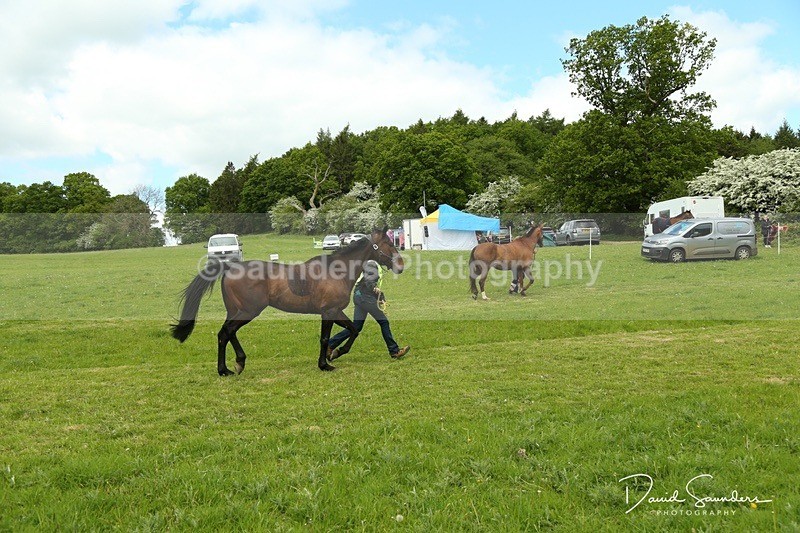 DSPX2106 - Venue & Vetting