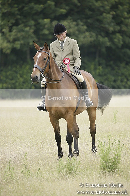 B230619-0907 - Bourne Valley Riding Club Summer Show 23/06/19