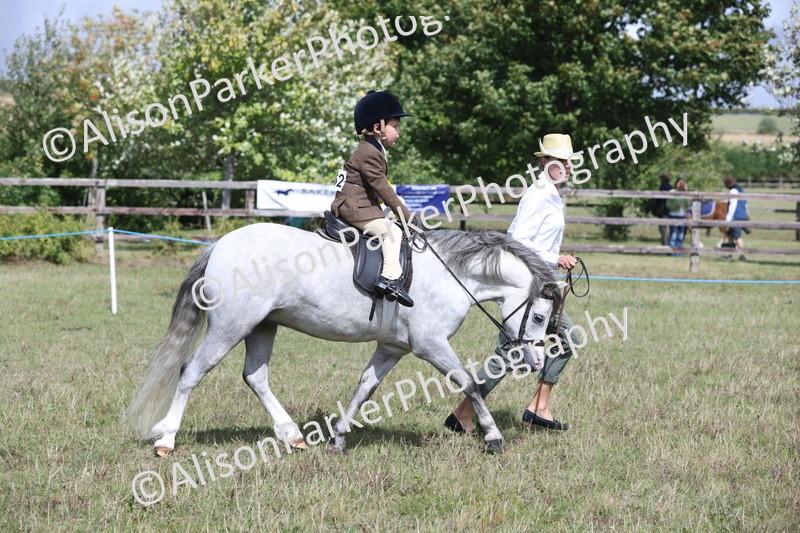20250831-2775 - Class 17 - Lead Rein Pony